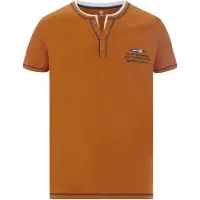Jan Vanderstorm T-Shirt "T-Shirt HAFTOR", Herren, Gr. XXXL, orange, Obermaterial: 100% Baumwolle CO., comfort fit normal, Serafino, Shirts T-Shirt