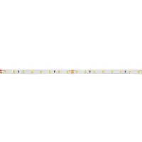 Brumberg 15571003
