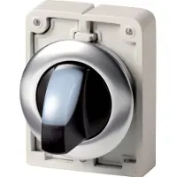 Eaton 188067 Leuchtwahltaste, RMQ-Titan, mit Knebelgriff, rastend, 2 Stellungen (V-Stellung), weiß, Frontring Edelstahl M30I-FWLKV-W