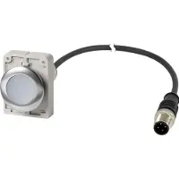 Eaton 186003 Leuchtdrucktaste, flach, tastend, 1 S, Kabel (schwarz) mit M12A-Stecker, 4-polig, 1 m, LED weiß, weiß, unbeschriftet, 24 V AC/DC