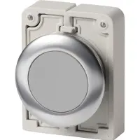 Eaton 188091 Drucktaste, RMQ-Titan, flach, tastend, grau, unbeschriftet, Frontring Edelstahl M30I-FD-GR