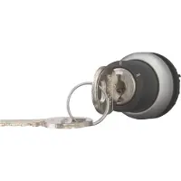 Eaton Schlüsseltaste Ronis 455