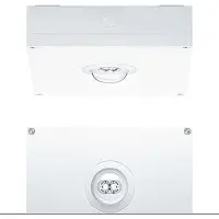 Zumtobel 42185758 Sicherheitsleuchte RESCLITE PRO MSC ANT ECC WH IP65