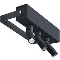 Zumtobel 42187699 Fassadenstrahler SUSY S 3P 400-830 WFL LDO AJ CHMM