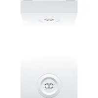 Zumtobel Sicherheitsleuchte 42929796