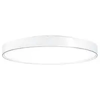 Zumtobel Rundleuchte 42185010