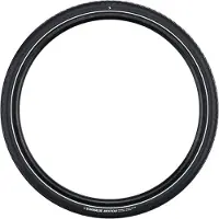 Schwalbe Reifen Motion Big Apple HS632 20x2.15" 55-406 sw-Reflex RaceG AdxGreen