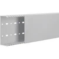 Hager HNG50125 Verdrahtungskanal halogenfrei V0-PC/ABS HNG 50x125mm lichtgrau - 2 Meter