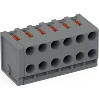 Wago 252-306 2-Leiter-Federleiste,Drücker,PUSH WIRE,grau 252306 - 100 Stück