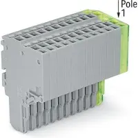 Wago 2020-215/000-036 2-Leiter-Federleiste,Push-in CAGE CLAMP,1,5 mm2,grau/grün-gelb 2020215000036 - 10 Stück