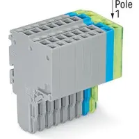 Wago 2020-210/000-038 2-Leiter-Federleiste,Push-in CAGE CLAMP,1,5 mm2,grau/blau/grün-gelb 2020210000038 - 25 Stück
