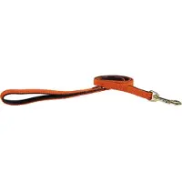 Kentucky Nylon Plaited Führleine 15 Mm