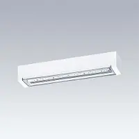 Thorn Zumtobel 96631598 LED-Notlichtleuchte VOYAGER ONE P MS ANT E3D WH IP65