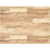 vidaXL Schreibtischplatte Unbehandelt 100x60x4 cm Massivholz Akazie