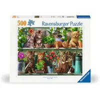 Ravensburger Katzen im Regal 12000205