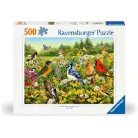 Ravensburger Vogelwiese 12000336