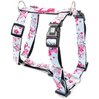 Max & Molly Hundegeschirr in H-Form, Ultrabequemes Geschirr Hund aus Neopren für kleine Hunde, Cherry Bloom/S, Gepolstert, Sicher & Ultraleicht – Komfort für deinen treuen Begleiter