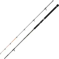 Penn Regiment IV Spin/Pilk 1002 3,04m 20-70g - Pilkrute