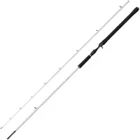 Abu Garcia Beast X2 Baitcastrute