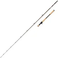Abu Garcia Beast Pro2 6611 H JB Casting 30-90g 198cm - Baitcastrute