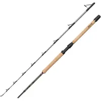 Penn Regiment Iv Pro Boat Spinnrute