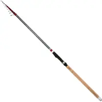 Mikado Prut Lexus Tele Match, 4,20 Meter, 25 Gramm