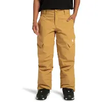 Dc-shoes Snowboardhose "Nonchalant"