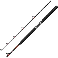 Penn Warfare Ii Boat Jiggingrute Silber 1.83 m / 50 Lbs Silber 1.83 m