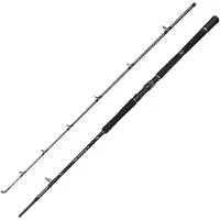 Penn Squadron IV Boat 210cm 30-50lb - Angelrute