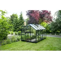 Halls Gewächshaus Popular 106 Sicherheitsglas 3 mm 193 x 319 cm schwarz