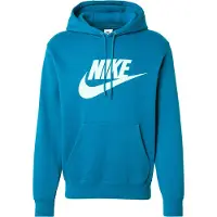 Nike Herren Kapuzenpullover CLUB BB PO GFX HOODIE FN3868-301 XL - Green Abyss/Green Ab/Mint F - XL