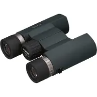 Pentax AD 9x28 WP, Dach, 9x, 2,8 cm, Wasserfest, Schwarz, 490 g