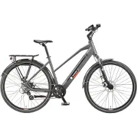 Telefunken "E-Trekking Expedition XT490 Damen" 8 Gang Shimano Altus Schaltwerk Kettenschaltung Heckmotor 250 W Pedelec, Elektrofahrrad, Damen, innerhalb StVZO, 28 Zoll