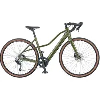 Prophete E-Bike "Graveler 1.0" Gr. 48, grün (grün, schwarz), Elektrofahrräder, 48cm, 28 Zoll (71,12cm), E-Bike, Pedelec, Elektrofahrrad für Herren
