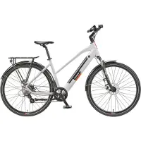 Telefunken "E-Trekking Expedition XT490 Damen" 8 Gang Shimano Altus Schaltwerk Kettenschaltung Heckmotor 250 W Pedelec, Elektrofahrrad, Damen, innerhalb StVZO, 28 Zoll