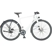 Prophete "Urbanicer 2.0" 9 Gang Shimano Alivio Schaltwerk Kettenschaltung Heckmotor 250 W Pedelec, Elektrofahrrad für Damen u. Herren