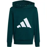 Adidas Sportswear "ESSENTIALS KIDS HOODIE"