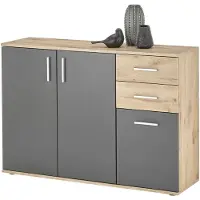 Bega Kommode - 120 x 84 cm - 3 Türen - 2 Schubladen - Grau matt - Viking Eiche Nachbildung