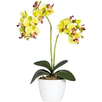 Creativ Green Kunstpflanze "Phalaenopsis", grün, B:11cm H:50cm T:11cm Ø:11cm, Kunststoff, Polyester, Kunstpflanzen, Kunstpflanze
