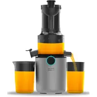 Cecotec Kaltpress-Entsafter für Obst und Gemüse Juice&Live 1500 Slim. 200W DC-Motor, 1 Geschwindigkeit und Rückwärtsfunktion,...
