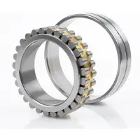 Skf Hochgenauigkeits-Zylinderrollenlager NN3009TN/SP