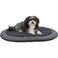 Trixie 37884, Kissen Tierbett, Drinnen, Hund, Grau, Oval, Polyester