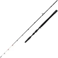 Penn Marine Brigade Dentex Jiggingrute Silber 1.90 m / 50-150 g Silber 1.90 m