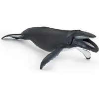 Papo Buckelwal, 3 Jahr(e), Marine life, Schwarz, Weiß, PVC