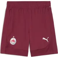 Puma RBS Training Shorts