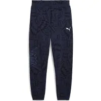 Puma teamJAWS Post Game Pants