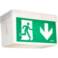 B.E.G. 93012 Notleuchte 21m LED Decken- und Wandmo. weiß IP54 BD21/6/3SC-LED