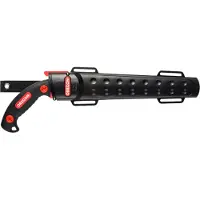 Oregon Astsäge 30 Cm