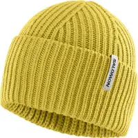 Salomon Snowbird Mütze