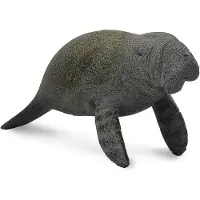 Collecta 88456 Seekuhkalb schwimmend 9 cm Wassertiere